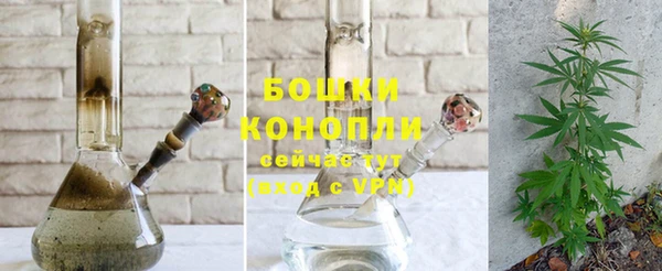 сатива Белоозёрский