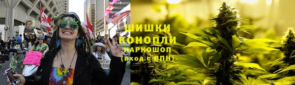 сатива Белоозёрский